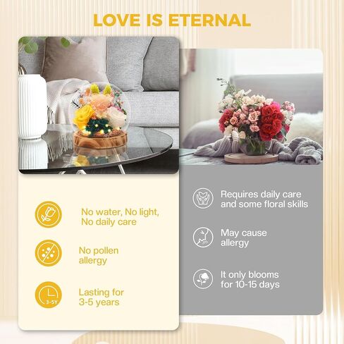 Eternal Rose Flowers, Unique Rose Preserved Flower Rose Gifts in Glass Dome for Women, Mom, Girlfriend,Home Decor Gifts for Birthday, Anniversary, Christmas, Wedding. in Saudi Arabia