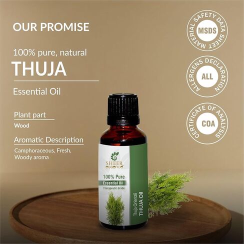 Thuja Oil -(Thuja Orientali)- Essential Oil 100% Pure Natural Undiluted Uncut Therapeutic Grade Oil 0.51 Fl.OZ in Saudi Arabia