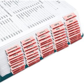 75pcs Bible Tabs,Morandi Theme, Laminated Bible Tabs for Women and Men,Bible Index Tabs,Bible Book Tabs, Bible Labels Tabs,Large Print Neutral Bible Tabs for Easy Navigation Old and New Testament