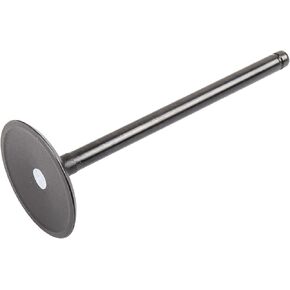 GM Genuine Parts 12619825 Engine Intake Valve