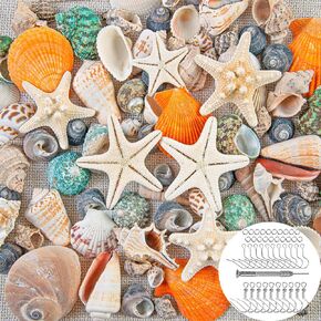 KAMHX Mixed Size Beach Sea Shells, Conch and Starfish,Suitable for Beach Theme Parties, Home Decoration, Weddings, Vase Fillings and Classrooms, DIY Crafts Shell Earrings and Bracelets