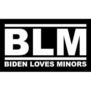 Biden Loves Minors BLM Fridge Car Magnet Bumper Sticker Joe App Size 6"x3.5"