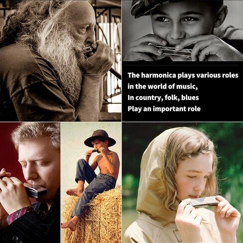 Blues Harmonica Key of C، 10 فتحات 20 نغمة للفم، قيثارة زرقاء مع حافظة صلبة، هارمونيكا دياتونيك للأطفال والكبار والمبتدئين والمهنيين والطلاب وهدايا عيد الميلاد (ذهبي) in Kuwait