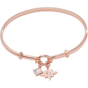 Alex and Ani North Star + Crystal Charm Clip Bangle