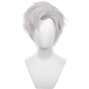 Cosplay Wig with Short Hair Straight Gray Hair with Bangs for Men Halloween Cosplay
