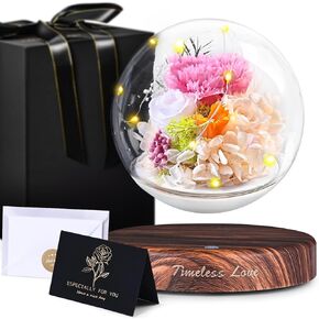 ASPMIZ Forever Flowers with LED Lights, Magnetic Levitation Preserved Flowers with Clear Dome, Purple Long-Lasting Real Flower Gifts for Mom Wife Women Teacher Appreciation Birthday Wedding Christmas
