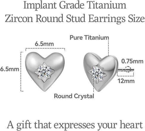 Limerencia G23 Pure Titanium hypallergenic arics ، F136 Gradant Grade Titanium Studs مناسبة للآذان الحساسة للمجوهرات الحساسة للمجوهرات in Kuwait