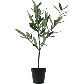 Faux Olive Tree 2 feet (24in), Olive Trees Artificial Indoor with Natural Wood Trunk and Realistic Leaves and Lifelike Fruits. Fake Plants for Office House Home Décor and Housewarming Gift