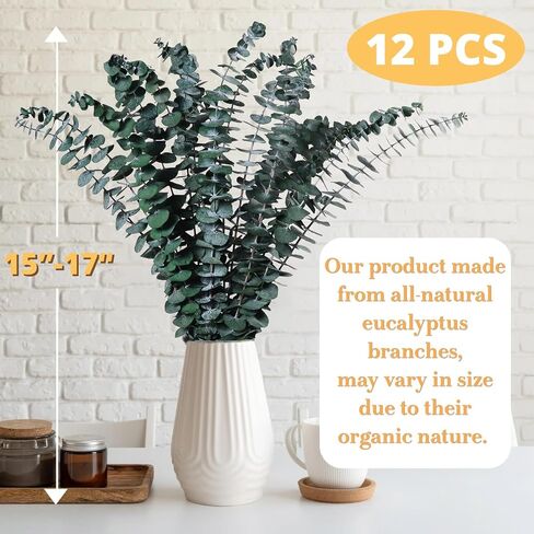 12 Pcs Dried Eucalyptus for Shower Hanging - 17'' Real Large Preserved Eucalyptus Stems Green Home Decor, 100% Made from Fresh Eucalyptus Leaves, Bathroom Shower Decor, Wedding, DIY in Saudi Arabia
