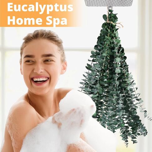 12 Pcs Dried Eucalyptus for Shower Hanging - 17'' Real Large Preserved Eucalyptus Stems Green Home Decor, 100% Made from Fresh Eucalyptus Leaves, Bathroom Shower Decor, Wedding, DIY in Saudi Arabia