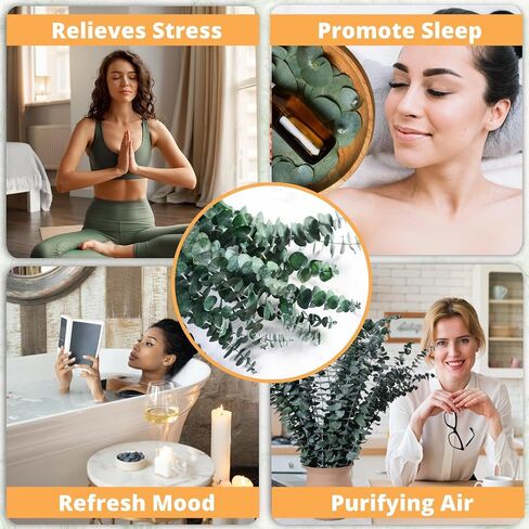 12 Pcs Dried Eucalyptus for Shower Hanging - 17'' Real Large Preserved Eucalyptus Stems Green Home Decor, 100% Made from Fresh Eucalyptus Leaves, Bathroom Shower Decor, Wedding, DIY in Saudi Arabia