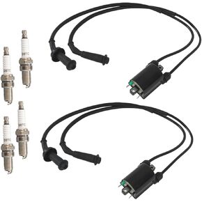 2 x Ignition Coil Pack and Spark Plug and Cap Replacement for Honda VT1100 1987-2007