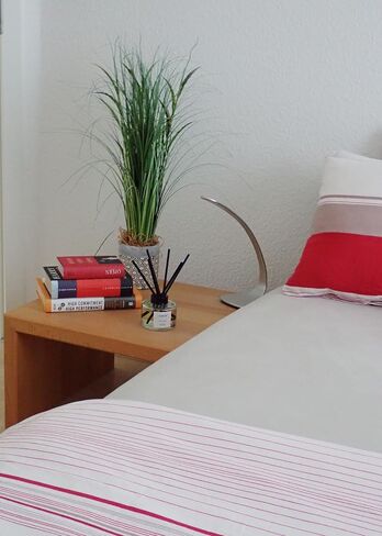 REED Diffuser ، 6.76 Fl Oz (200ml) - ناشر رائحة الخيزران الطازجة للمنزل ، المكتب ، الحمام - العطور المنزلية الأنيقة مع عصي الناشر in Saudi Arabia