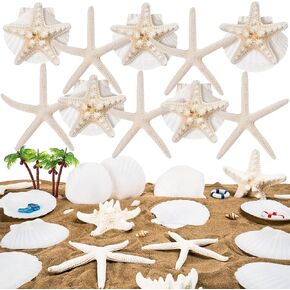 15 Pcs Starfish Decor, Small Starfish for Crafts, Tiny Sea Shells for Crafting, Scallop Clam Shells for DIY Ocean Themed Party Supplies