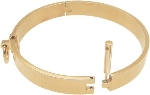 Stainless steel lockable collar necklace choker Women Men Stianless steel Necklace Torques Removeable O-Rings Choker Lockable Choker in Saudi Arabia