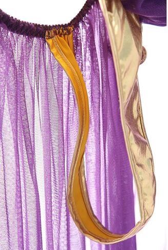 BIGFOX Women Arabian Princess Costume Sexy Lingerie Leather Bra Perspective Yarn Long Dress Cosplay Latin Belly Dancer in Saudi Arabia