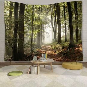 DZGlobal Forest Pathway in the Misty Mountain Tapestry Wall Hanging Art Nature Landscape Tapestries 80W X 60L Inch Home Decor for Living Room Bedroom Kitchen Dorm Green
