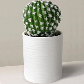 Seeko Exclents Cactus المزيفة (10.5 ') - ديكور مصنع صبار واقعية للمسكن أو المكتب أو الرف أو المكتب (وعاء أسود)