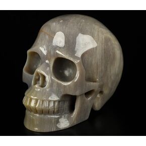 Skullis 5.0" Petrified Crystal Skull, Hand Carved Gemstone Fine Art Sculpture, Reiki Healing Stone Statue.1899 Z8