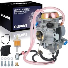 Carburetor For Arctic Cat 250 2X4 4X4 1999-2001/300 2X4 4X4 1998-2000/400 2x4 4X4 1998-2001/0470-348 0470-352 0470-362 0470-367