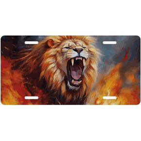 Human Skull Fire Decorative License Plate, Vanity Tag, Metal License Plate, Aluminum Novelty License Plate Home Decor for Men/Women/Boy/Girls 6 X 12 Inch (4 Holes)