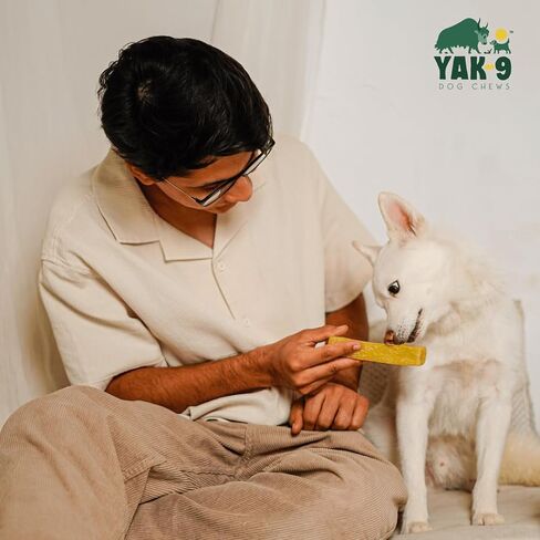 Yak9 Cruncheese Dog Treats, Crunchy High Protein, Low Fat Dog Treats with Yak Cheese, Natural Ingredients, Rawhide Free, Dog Treats for All Breeds, Dog Training Treats, Non GMO, Honey, 6 Oz, 30 PCS in Saudi Arabia