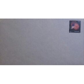 100 Forever Stamped Envelopes #10 Self Seal Security Envelopes (4-1/8 x 9-1/2 inch) (One Pack) (USPS Postage Stamp Design Varies)