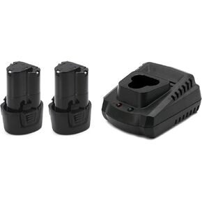 ACDelco AB1207LA-P2C G12 Series 12V Li-ion Interchangeable 2 Battery Packs with 1 Quick Charger