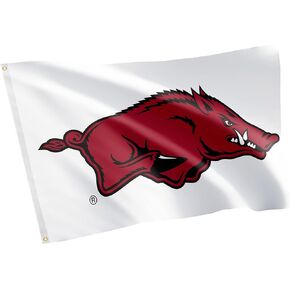 Desert Cactus University of Arkansas Flag Razorbacks U of A Hogs Flags Banners 100% Polyester Indoor Outdoor 3x5 (Design J)