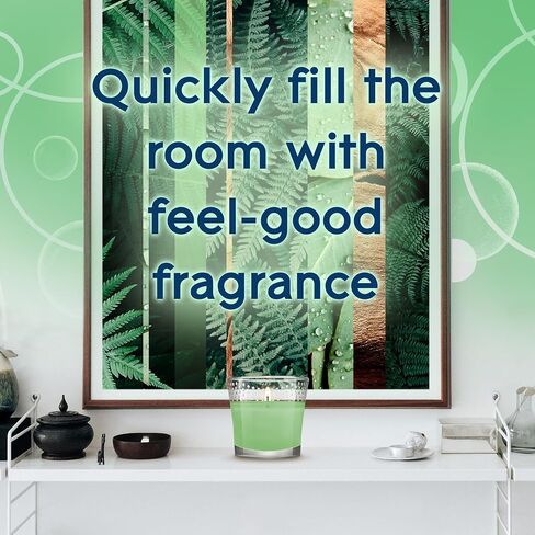وعاء شموع Glade، البطيخ العجيب، شمعة عطرية مملوءة بالزيوت العطرية، شمعة معطرة للهواء، 3.4 أونصة، عدد 2 in Saudi Arabia