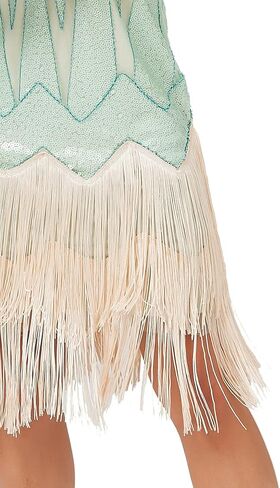 1920s Vintage Inspired Sequin Embellished Fringe V Neck Gatsby Costume Dress w/ 20s Headband Accessories Set in Saudi Arabia