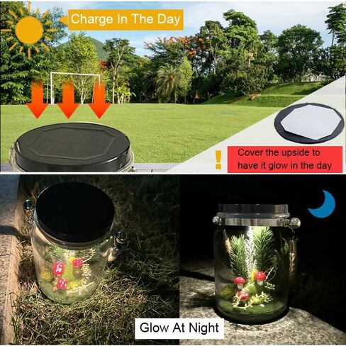 شمسي ماسون الجرار ديكور ، ماسون جرة ضوء الليل مع Micro Mushroom Flazroom Moss ، Solar Lights Decor in Saudi Arabia