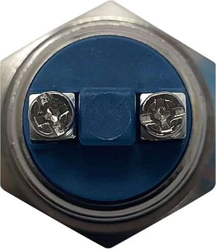 Sherco-Auto Stainless Steel Ignition Starter Momentary Push On Button Switch - 19 MM 12V in Saudi Arabia