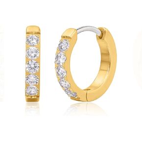 Limerencia G23 Pure Titanium Hypallergenic Huggie Hoop أقراط للنساء آذان حساسة