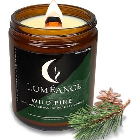 Crackling Wood Wick Candles - 40hr Citrus Aromatherapy Soy Candle - 100% Natural Essential Oil, Non-Toxic Wooden Wick Candles for Home - Stress Relief & Relaxation - 8oz Glass Jar (Citrus Spice)