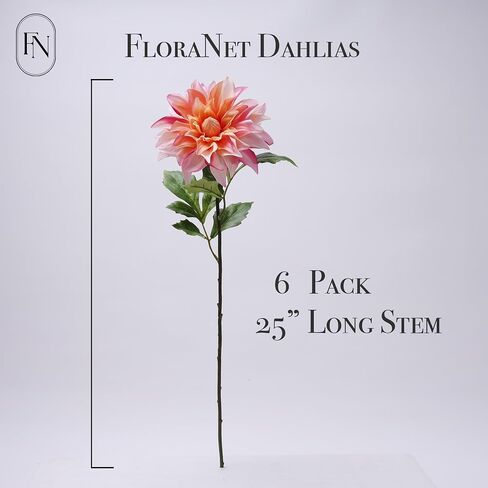 MAUVE DAHLIA 6 رؤوس كبيرة مع فواكه ساق مزيفة زهرة حريرية مزيفة للهذيان باقة غرفة المعيشة الداخلية الزفاف في الهواء الطلق الربيع الصيف جميع المواسم DIY ترتيب الديكور in Saudi Arabia