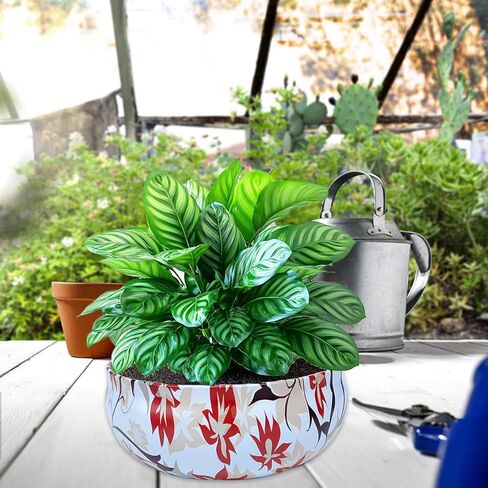 شمعة Citronella في الهواء الطلق ، شموع السترونيلا الكبيرة 3-wick للبناء ، حديقة ، التخييم ، داخلي خارج الزخرفة ، شمع الصويا الطبيعي مع زيت السترونيلا ، 240 ساعة حرق ، 36 أوقية ، 3 عبوات in Kuwait