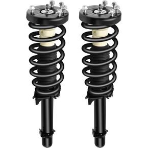 ECCPP Complete Struts Spring Assembly Front Struts Shock Absorber Fit for 2009 2010 2011 2012 2013 2014 for Acura TL Set of 2