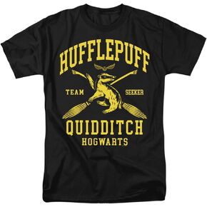 Harry Potter Hogwarts Houses Quidditch Team Unisex Adult T Shirt