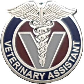 Veterinarian Assistant Lapel Pin Vet Asst DVM Pet Dog Cat Doctor Veterinary - A 128 Silver