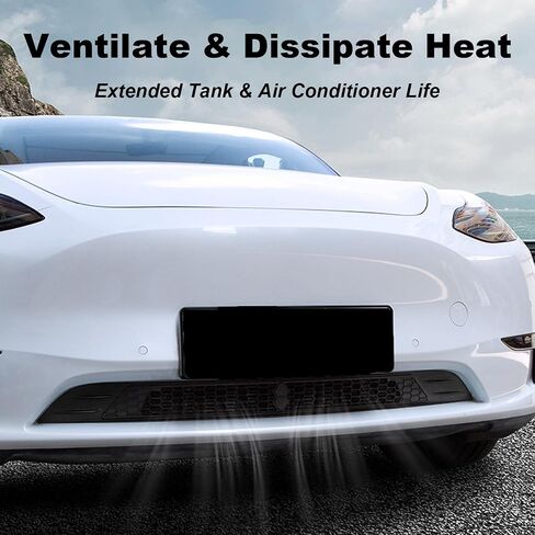 Front Grill Guard, Front Grill Mesh Compatible with 2019-2022 Tesla Model Y, Black Air Inlet Vent Grille Cover Model Y in Saudi Arabia