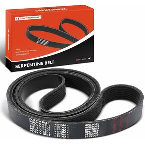 A-Premium Heafty-Duty-Duty Serpentine Drive Belt متوافق مع Blue Bird و Freightliner & Sterling Truck Cars-All American Fe RE ، Bise School Bus ، B2 ، M2 106 ، MT45 ، MT55 ، S2C ، Acterra ، L7500