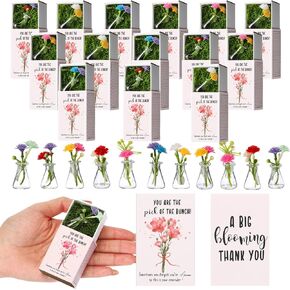 24 Set Emotional Support Appreciation Gifts Bulk for Women Nurse CNA Week Graduation Teachers Staff Coworker Dad Mini Bud Vase with Flowers Positive Box Breathing End of Year Gift Mental Health Favor