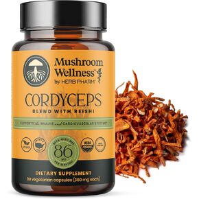 مزيج من العافية في الفطر مزيج مع Reishi: كبسولات الفطر العضوية وريشي ، مكملات مسحوق الفطر ، يدعم الجهاز المناعي ووظيفة البول الصحي ، 90 كبسولات نباتية