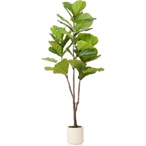 شجرة الشكل الاصطناعية ، شجرة FICUS FICUS LYRATA مع أوراق واقعية ، ديكور المنزل النابض بالمنزل شجرة فو في وعاء أنيق للداخل ، المكتب ، ديكور غرفة المعيشة (6 أقدام)