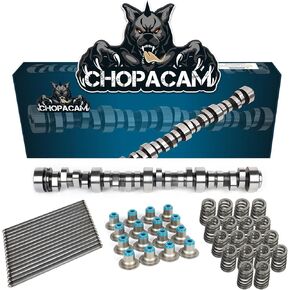 Stage 2 Cam Kit with .560 Lift Beehive Springs Seals Pushrods for LS Truck Camshaft for 4.8 5.3 6.0 6.2 Vortec (1999-2013)