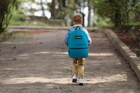 Trail maker 24 Pack- Classic 17 Inch Backpacks in Bulk Wholesale Back Packs for Boys and Girls (Assorted 12 Colors Pack) in Kuwait