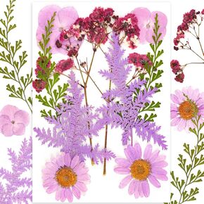 160 Pieces (16 Packs) Pressed Dried Flowers for Crafts,Pressed Dried Flowers for Resin,Pressed Flowers for Pumpkins.(160 Pcs Multi-Color)