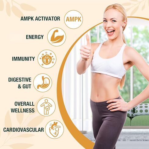 Liposomal Berberine Drops Supplement 3000mg - High Absorption AMPK Activator, Organic Berberine HCl Complex with Ceylon Cinnamon & Ginger for Immune & Digestion (2 fl oz) in Saudi Arabia