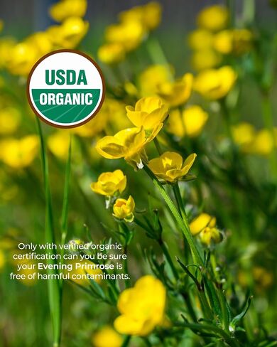 Organic Evening Primrose Oil Supplement, 940 mg 100% Pure with 10% GLA, High Absorption Liquid Organic Capsules, Promotes Women's Health & Skin Health, Cold Pressed, 60 Count in Saudi Arabia